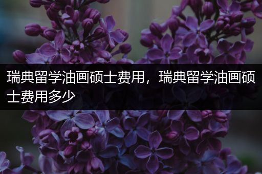 瑞典留学油画硕士费用，瑞典留学油画硕士费用多少