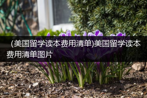 （美国留学读本费用清单)美国留学读本费用清单图片