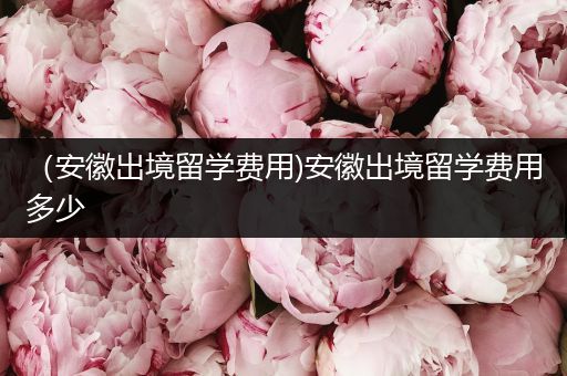 （安徽出境留学费用)安徽出境留学费用多少