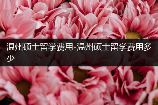 温州硕士留学费用-温州硕士留学费用多少