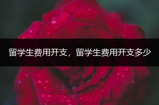 留学生费用开支，留学生费用开支多少