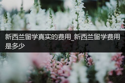 新西兰留学真实的费用_新西兰留学费用是多少