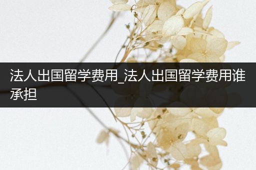 法人出国留学费用_法人出国留学费用谁承担