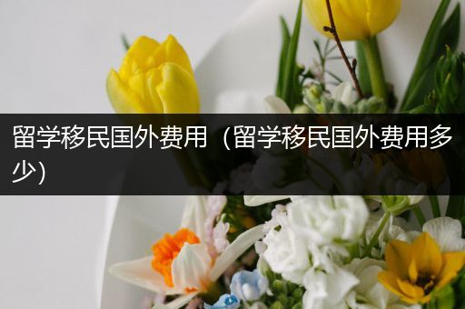 留学移民国外费用（留学移民国外费用多少）