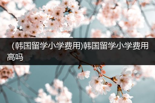 （韩国留学小学费用)韩国留学小学费用高吗