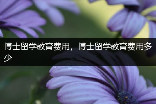 博士留学教育费用，博士留学教育费用多少