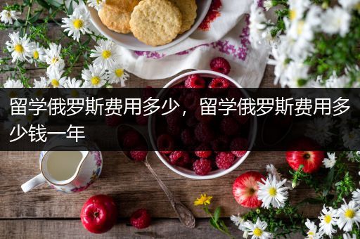 留学俄罗斯费用多少，留学俄罗斯费用多少钱一年