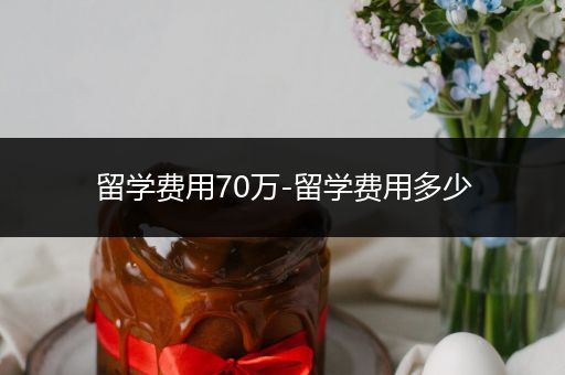 留学费用70万-留学费用多少