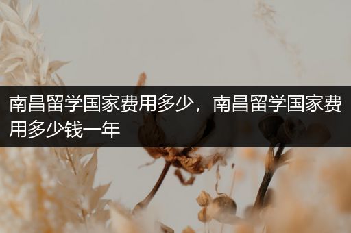 南昌留学国家费用多少，南昌留学国家费用多少钱一年
