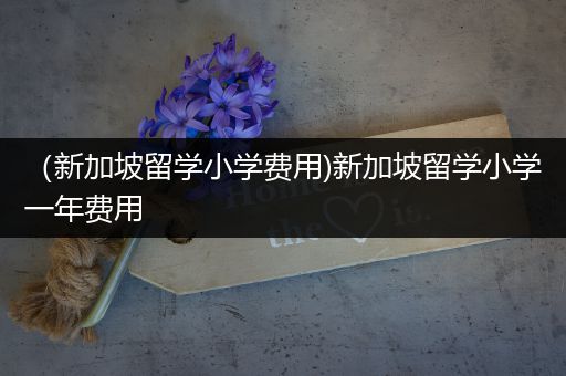 （新加坡留学小学费用)新加坡留学小学一年费用