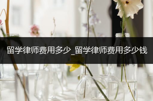 留学律师费用多少_留学律师费用多少钱