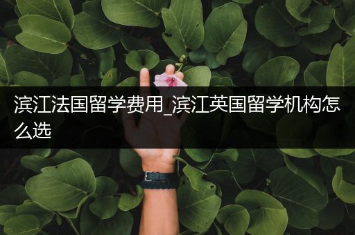 滨江法国留学费用_滨江英国留学机构怎么选