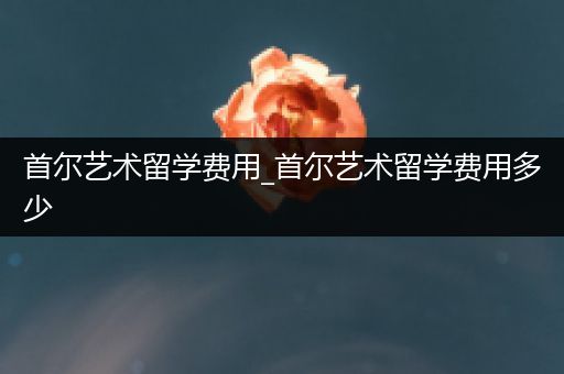 首尔艺术留学费用_首尔艺术留学费用多少