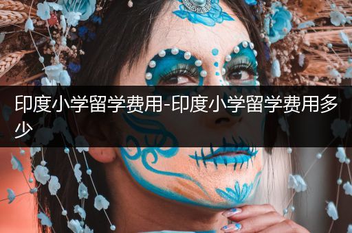 印度小学留学费用-印度小学留学费用多少
