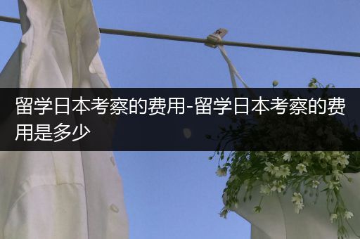 留学日本考察的费用-留学日本考察的费用是多少
