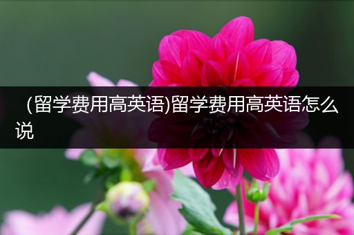 （留学费用高英语)留学费用高英语怎么说