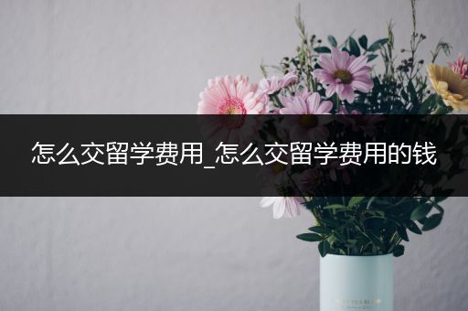 怎么交留学费用_怎么交留学费用的钱