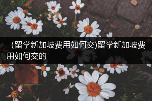 （留学新加坡费用如何交)留学新加坡费用如何交的