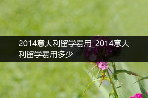 2014意大利留学费用_2014意大利留学费用多少