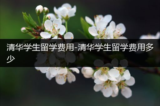 清华学生留学费用-清华学生留学费用多少