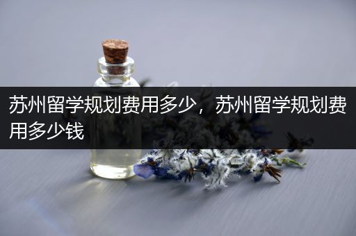 苏州留学规划费用多少，苏州留学规划费用多少钱