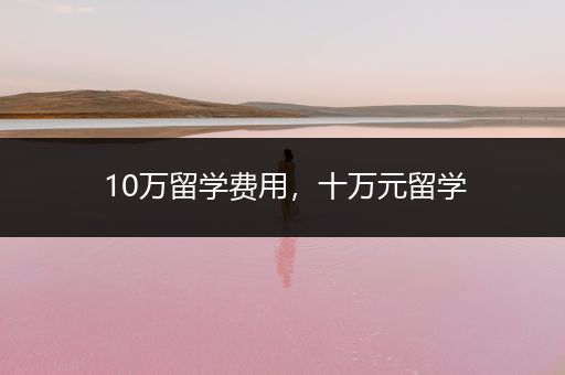 10万留学费用，十万元留学