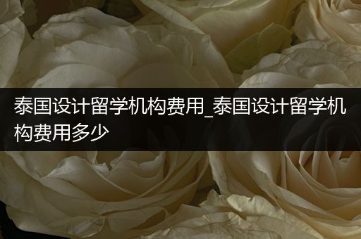 泰国设计留学机构费用_泰国设计留学机构费用多少