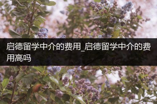 启德留学中介的费用_启德留学中介的费用高吗