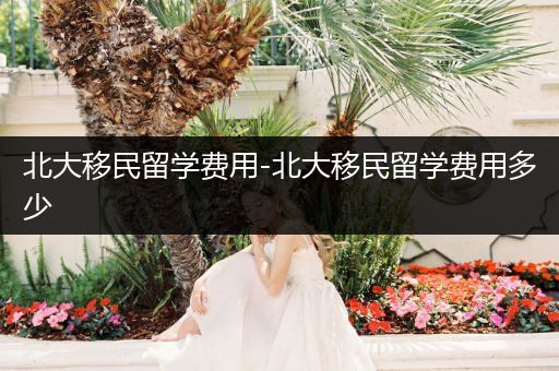 北大移民留学费用-北大移民留学费用多少