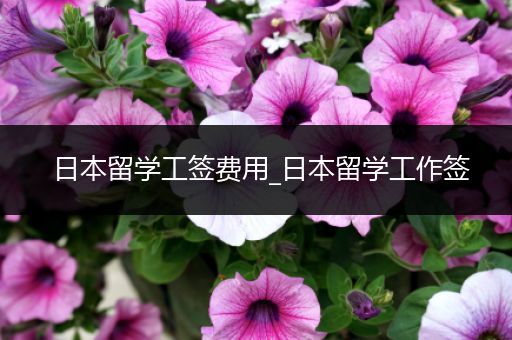 日本留学工签费用_日本留学工作签