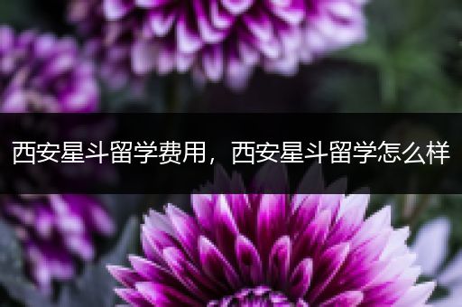 西安星斗留学费用，西安星斗留学怎么样