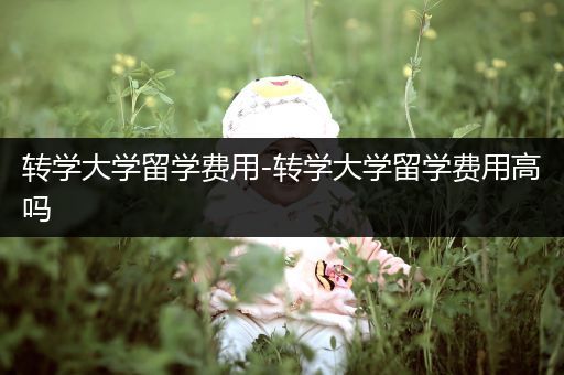 转学大学留学费用-转学大学留学费用高吗