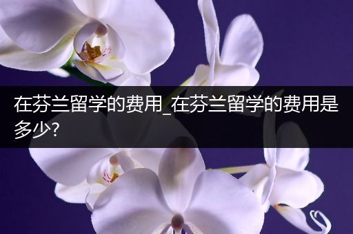 在芬兰留学的费用_在芬兰留学的费用是多少?