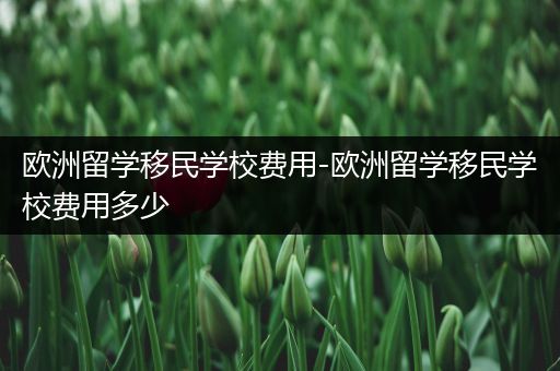 欧洲留学移民学校费用-欧洲留学移民学校费用多少
