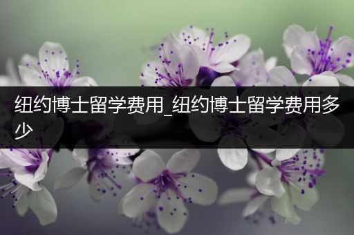 纽约博士留学费用_纽约博士留学费用多少