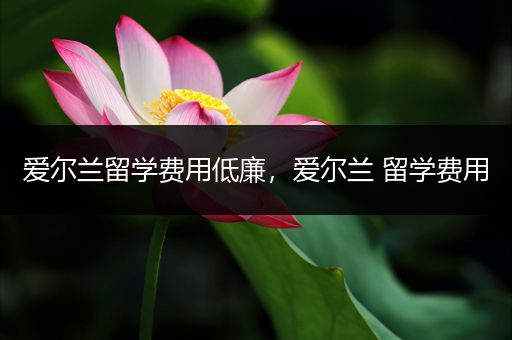 爱尔兰留学费用低廉，爱尔兰 留学费用
