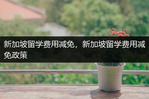 新加坡留学费用减免，新加坡留学费用减免政策