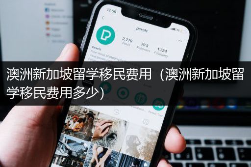 澳洲新加坡留学移民费用（澳洲新加坡留学移民费用多少）