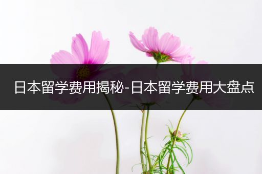 日本留学费用揭秘-日本留学费用大盘点