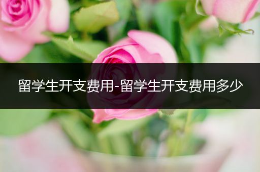 留学生开支费用-留学生开支费用多少