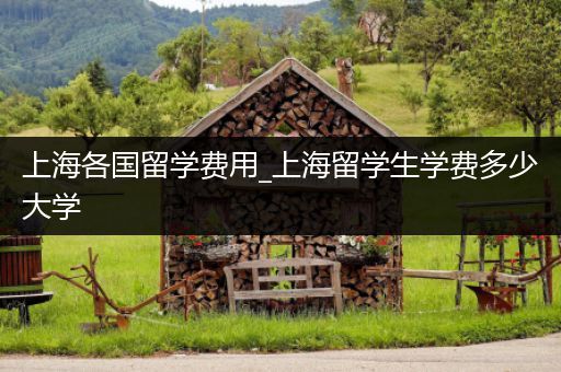 上海各国留学费用_上海留学生学费多少大学