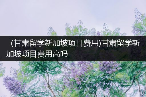 （甘肃留学新加坡项目费用)甘肃留学新加坡项目费用高吗