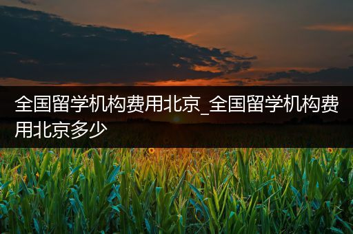全国留学机构费用北京_全国留学机构费用北京多少