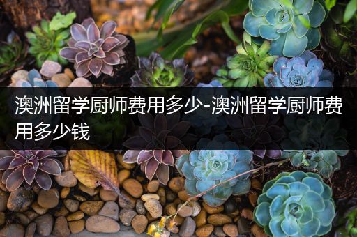 澳洲留学厨师费用多少-澳洲留学厨师费用多少钱