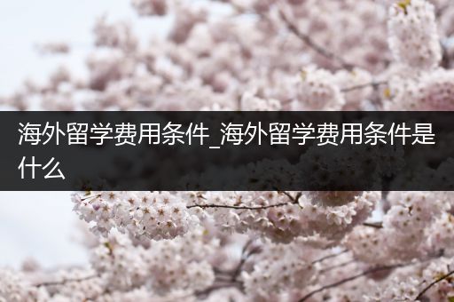 海外留学费用条件_海外留学费用条件是什么