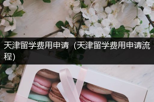 天津留学费用申请（天津留学费用申请流程）