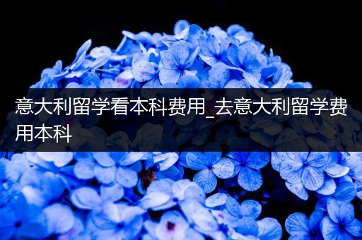 意大利留学看本科费用_去意大利留学费用本科