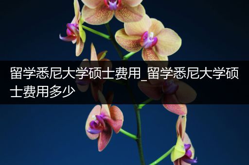 留学悉尼大学硕士费用_留学悉尼大学硕士费用多少
