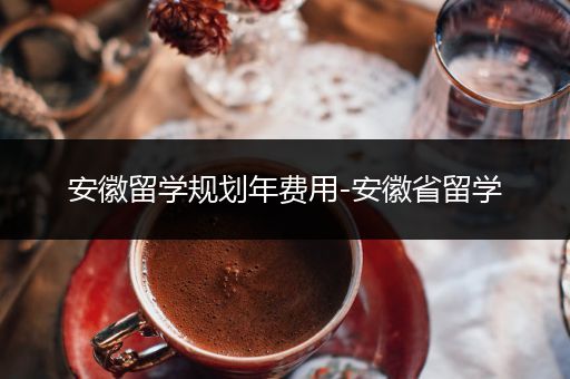 安徽留学规划年费用-安徽省留学