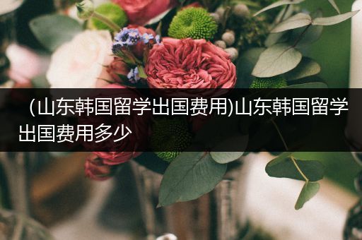 （山东韩国留学出国费用)山东韩国留学出国费用多少